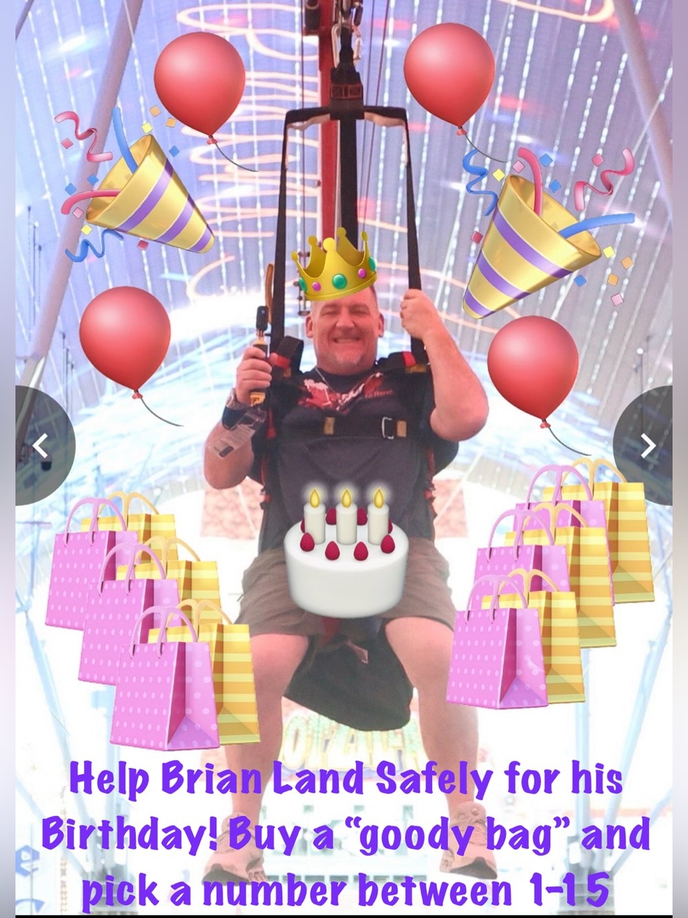 Mystery Birthday Gift Bag: each bag has something valued $50 + & 1 reservation